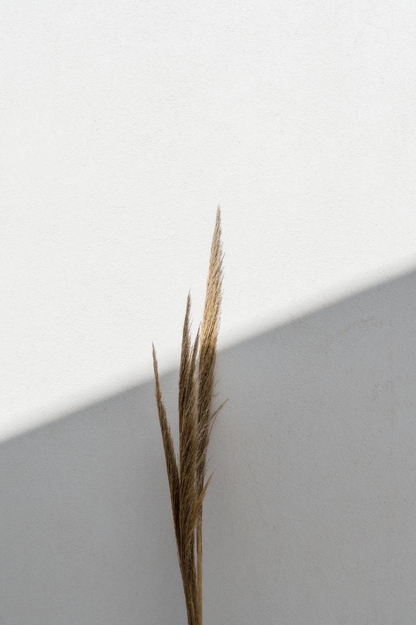 Poema Antiparos Apart otel Dış mekan fotoğraf